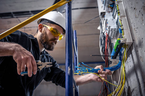 Best Electric Panel Repair  in Weldon, NC